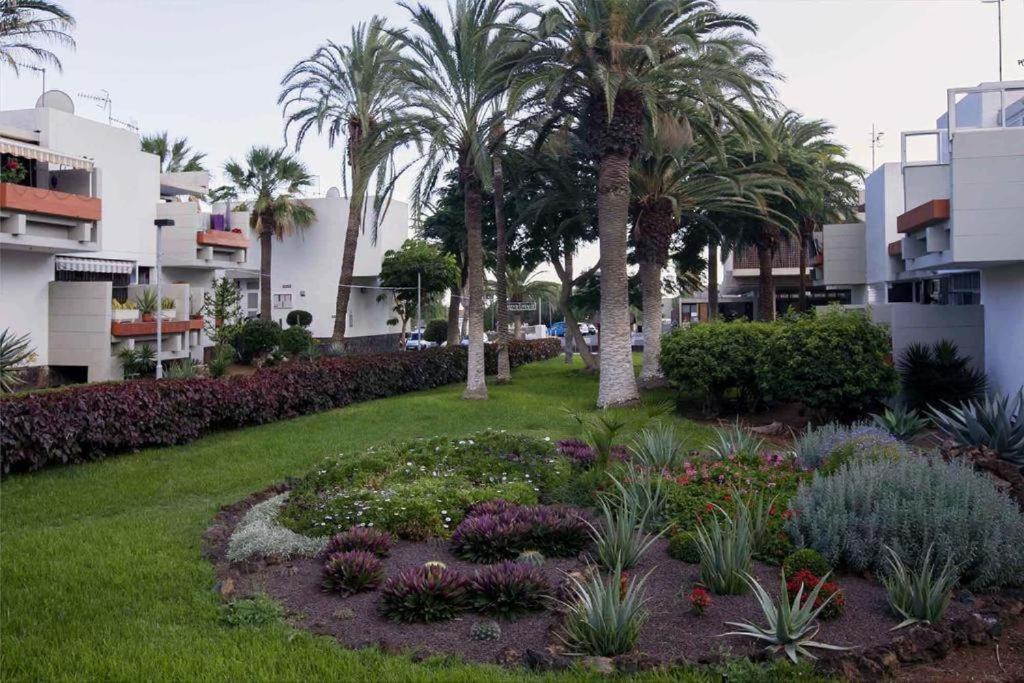 Tenerife Primavera Arona  Exterior foto